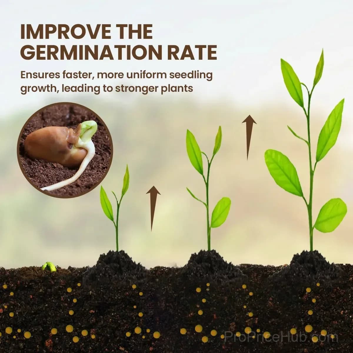Soil Pro Activator for Garden Use - View 2