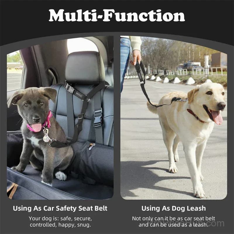 2-in-1 Dog Car Seat Belt & Walking Leash - View 5
