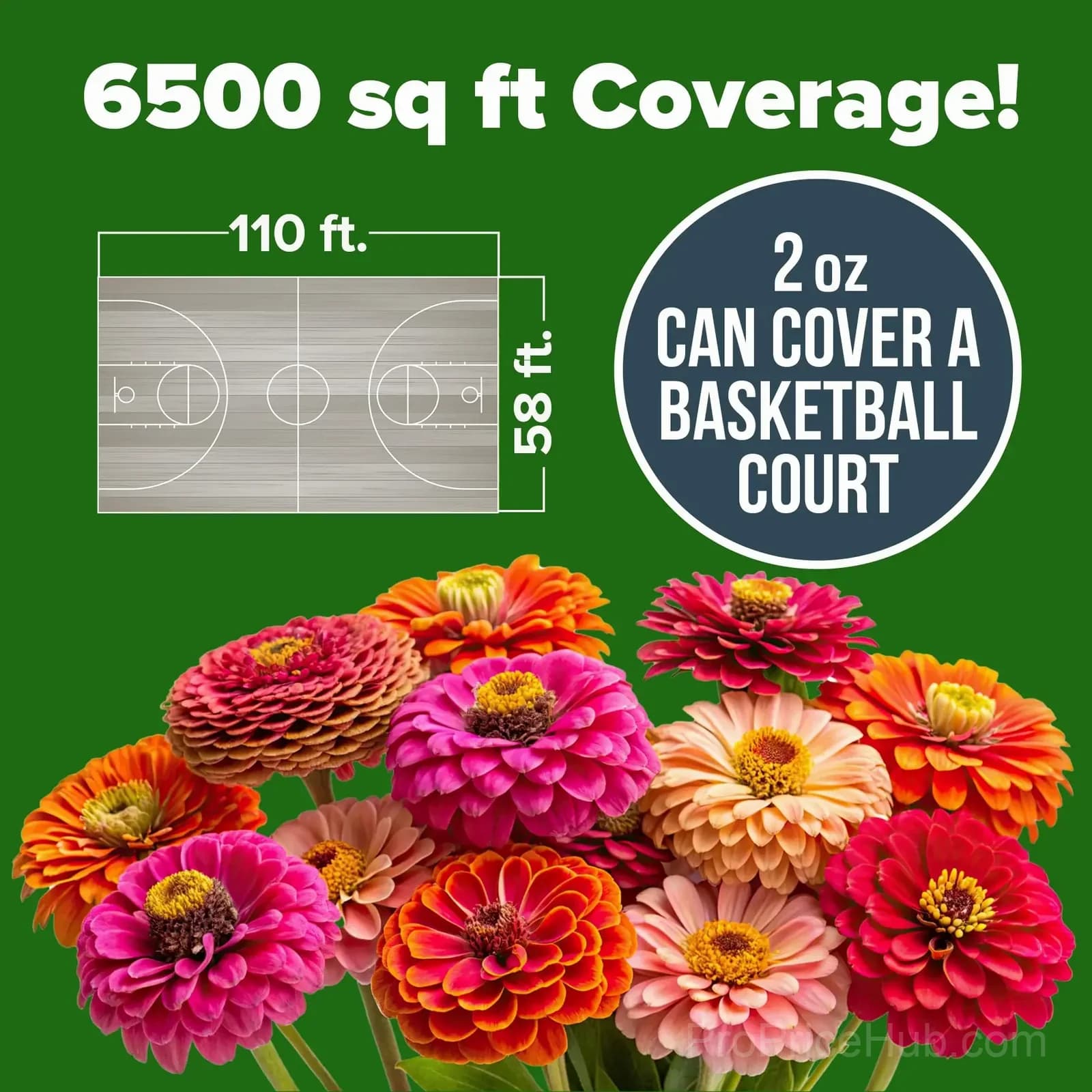 Zinnia Flower Seeds for Planting - View 2