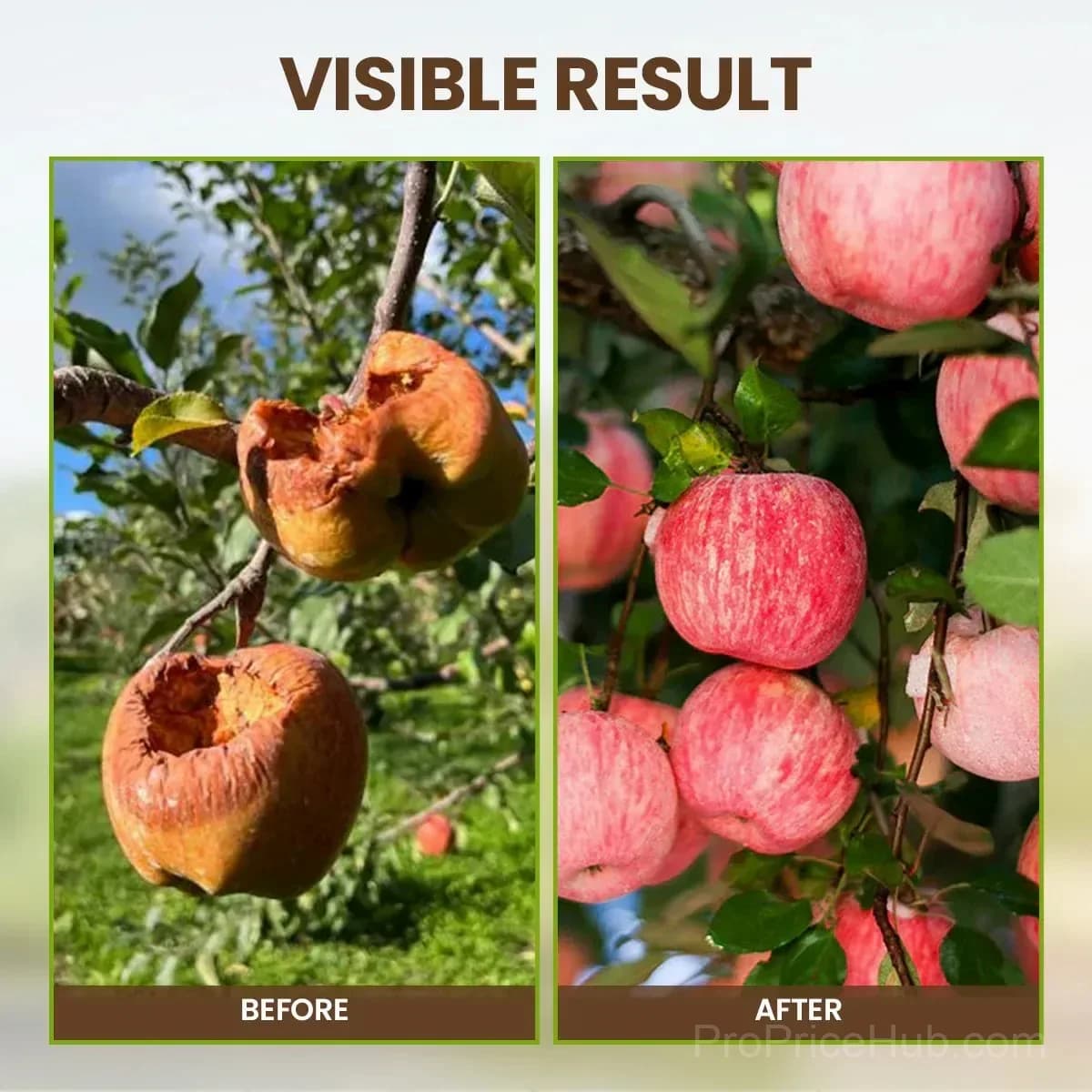 Soil Pro Activator for Garden Use - View 5