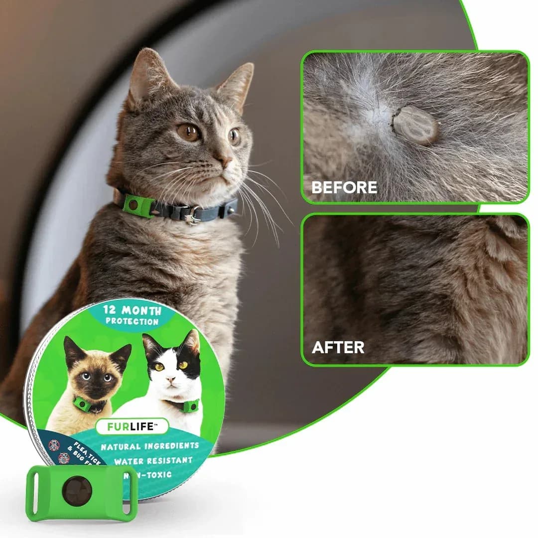 12-Month Flea & Tick Protection for Dogs - View 11