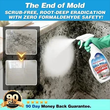 Fast-Acting Anti-Mold Wall Cleaner Spray for Home - View 1