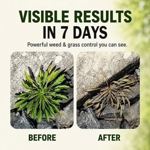 🔥Fast-Acting Natural Weed & Grass Killer Spray - View 8