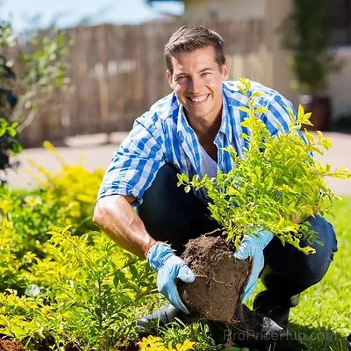 Soil Pro Activator for Garden Use - View 8