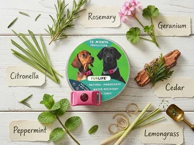 12-Month Flea & Tick Protection for Dogs - View 4