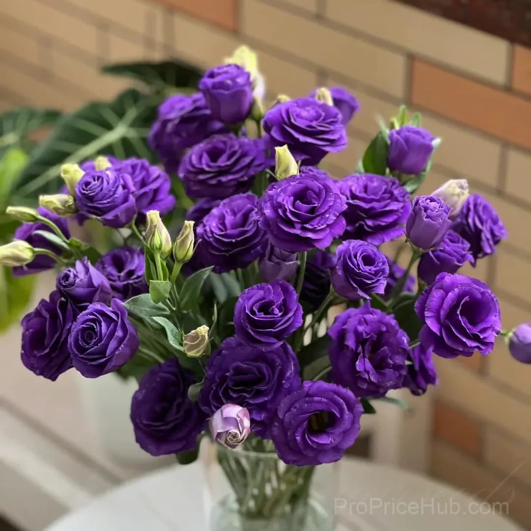 50 Mixed Color Lisianthus Seeds with 12-Day Germination - View 3