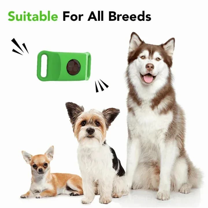 12-Month Flea & Tick Protection for Dogs - View 3