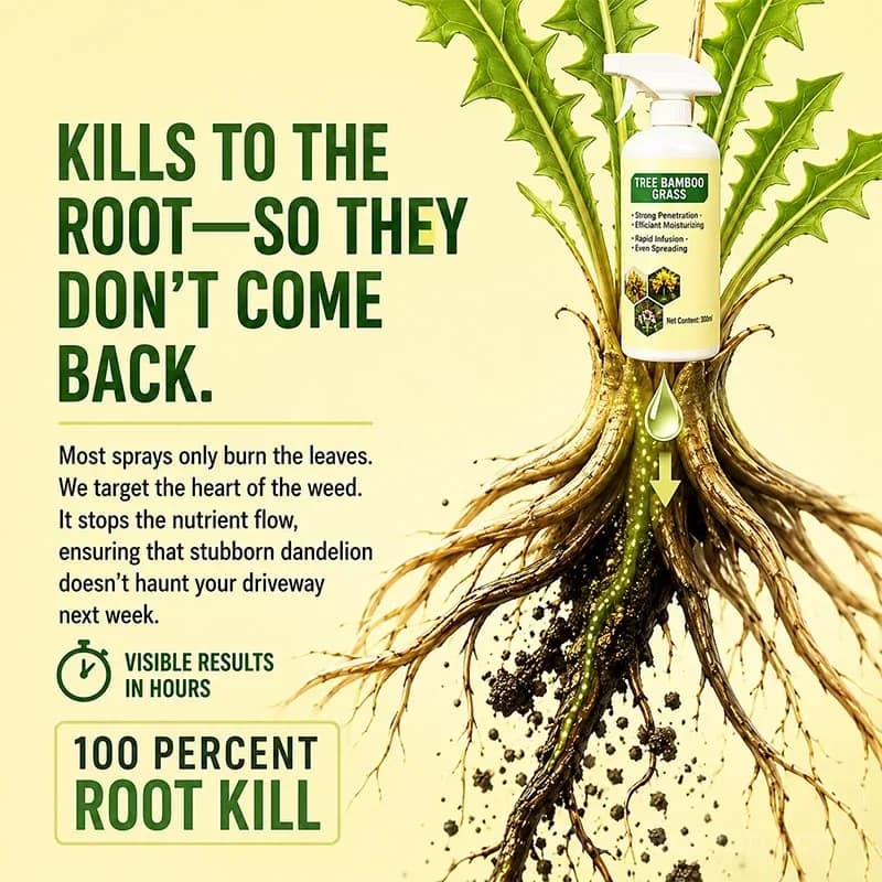 🔥Fast-Acting Natural Weed & Grass Killer Spray - View 4