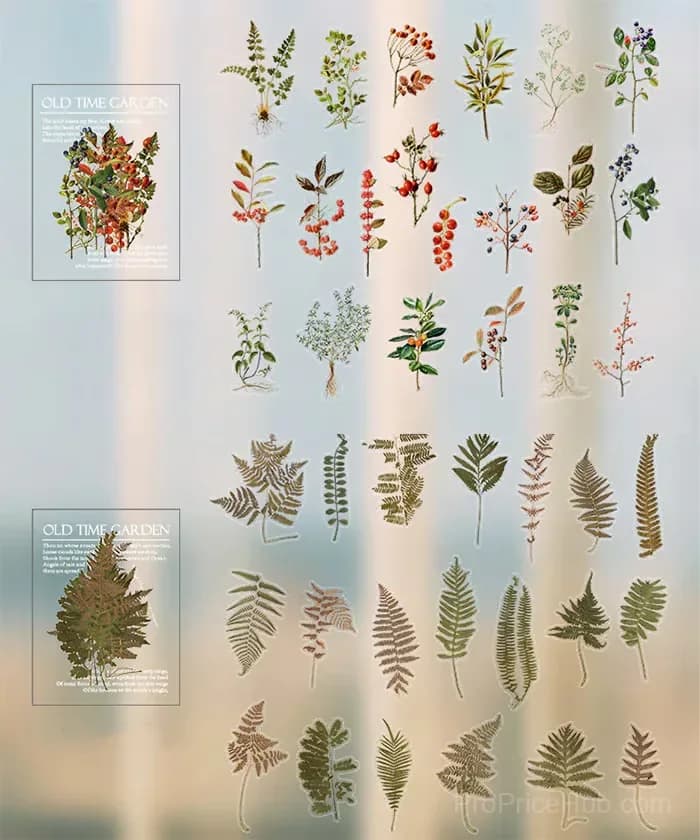 240 Pcs Memory Garden Series PET Stickers Set - View 14