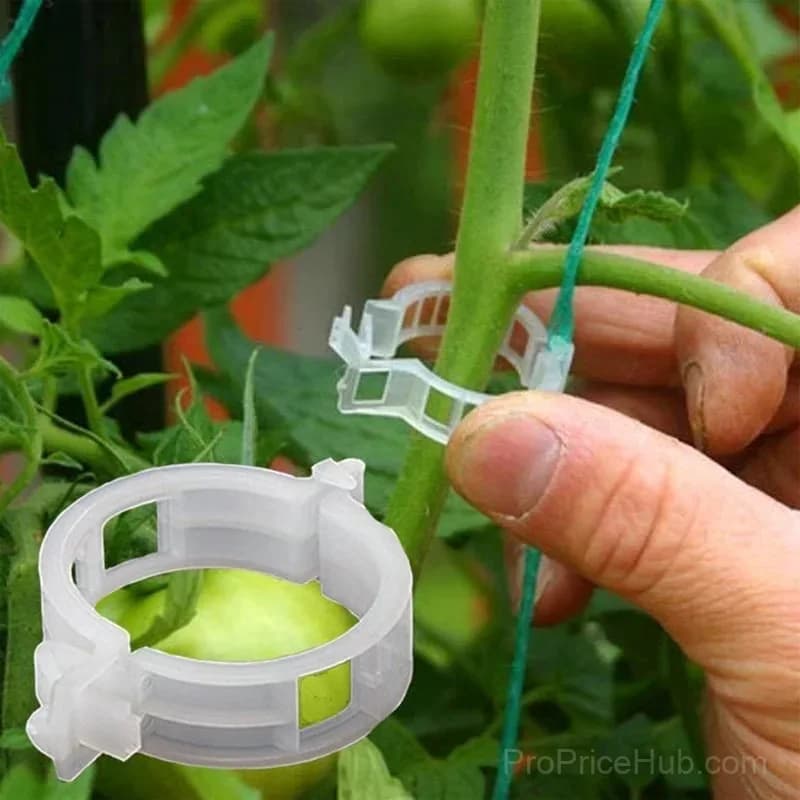 Plant Support Clips for Garden Plants, 50 Count - Main