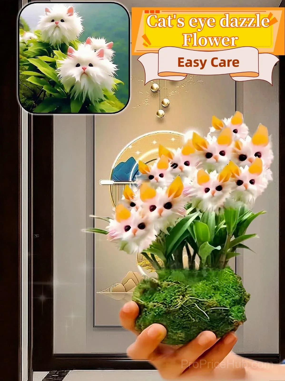 Dazzling Cat's Eye Seeds - View 3