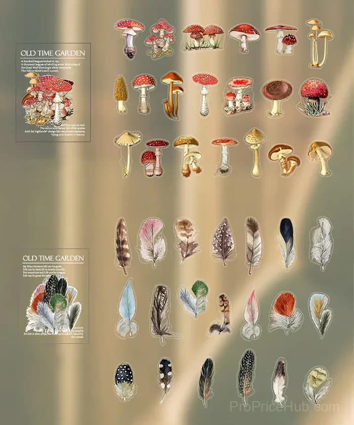 240 Pcs Memory Garden Series PET Stickers Set - View 15