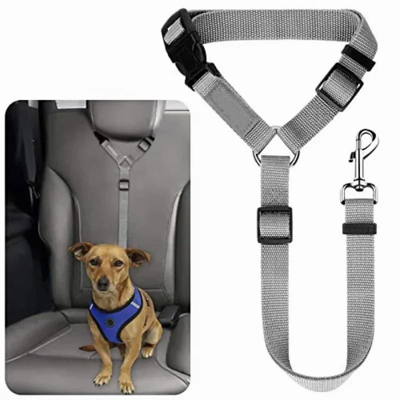 2-in-1 Dog Car Seat Belt & Walking Leash - View 19