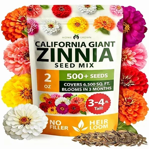 Zinnia Flower Seeds for Planting - View 1