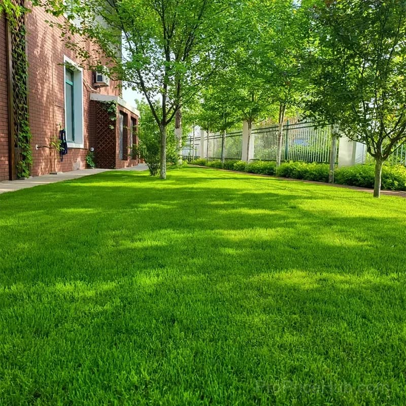 2026 Four Seasons Evergreen Grass Seed - Durable, Vibrant Green All Year - View 2