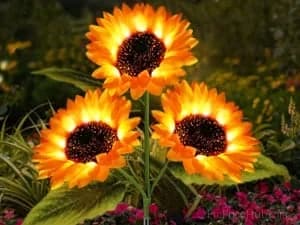 Solar LED Sunflower Garden Lights - View 7