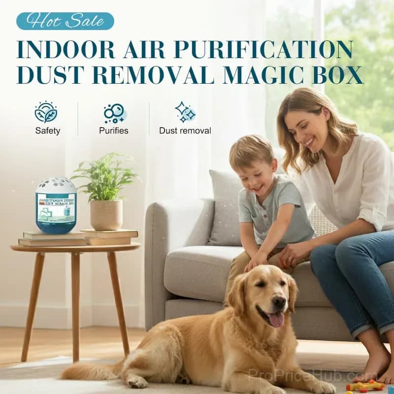 Indoor Air Purifier Dust Removal Magic Box, 1 Piece - View 1