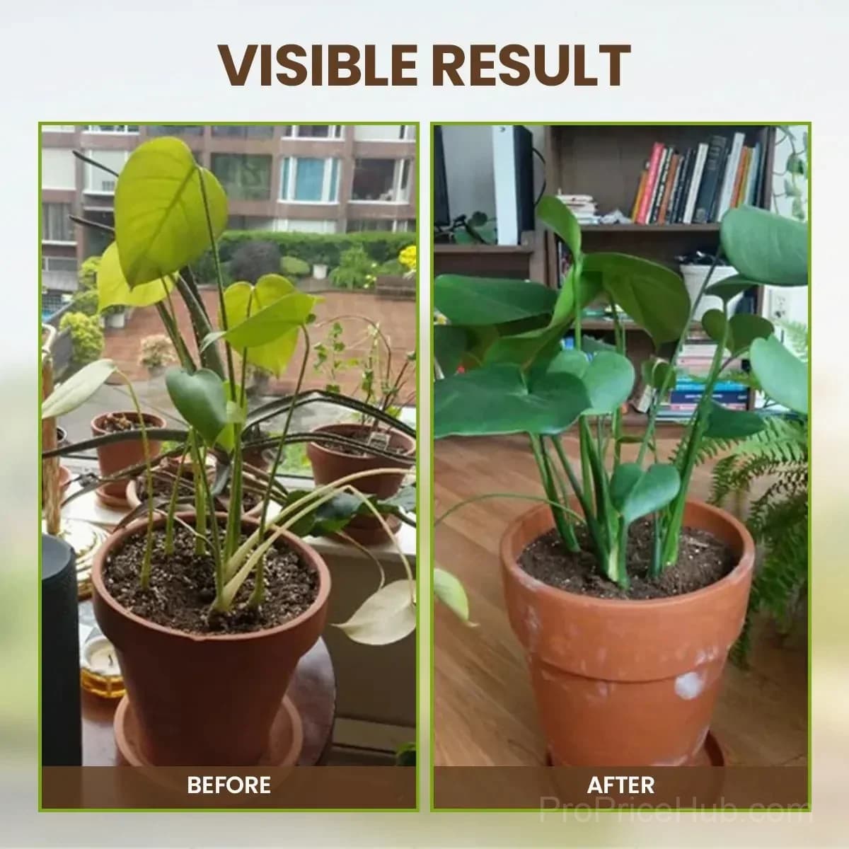 Soil Pro Activator for Garden Use - View 6