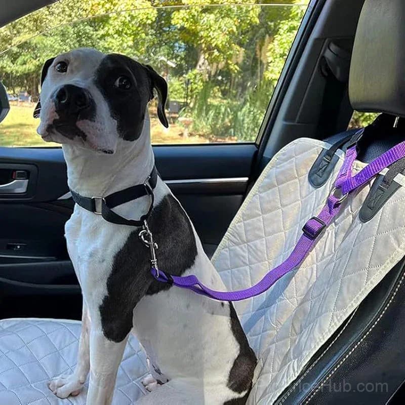 2-in-1 Dog Car Seat Belt & Walking Leash - View 2