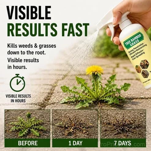 🔥Fast-Acting Natural Weed & Grass Killer Spray - View 2
