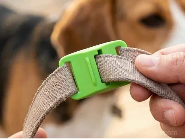 12-Month Flea & Tick Protection for Dogs - View 5
