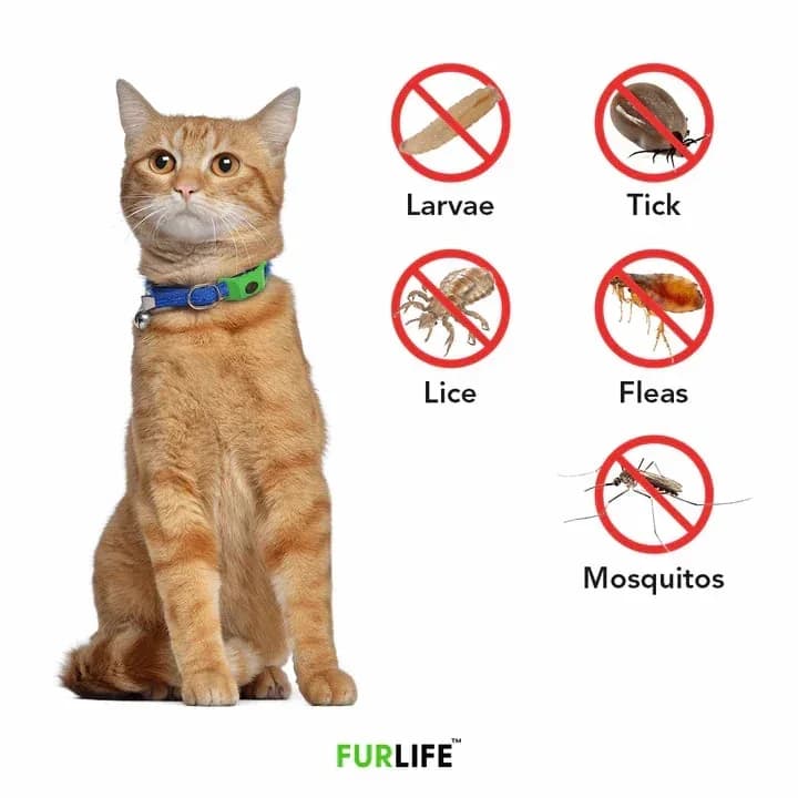 12-Month Flea & Tick Protection for Dogs - View 12