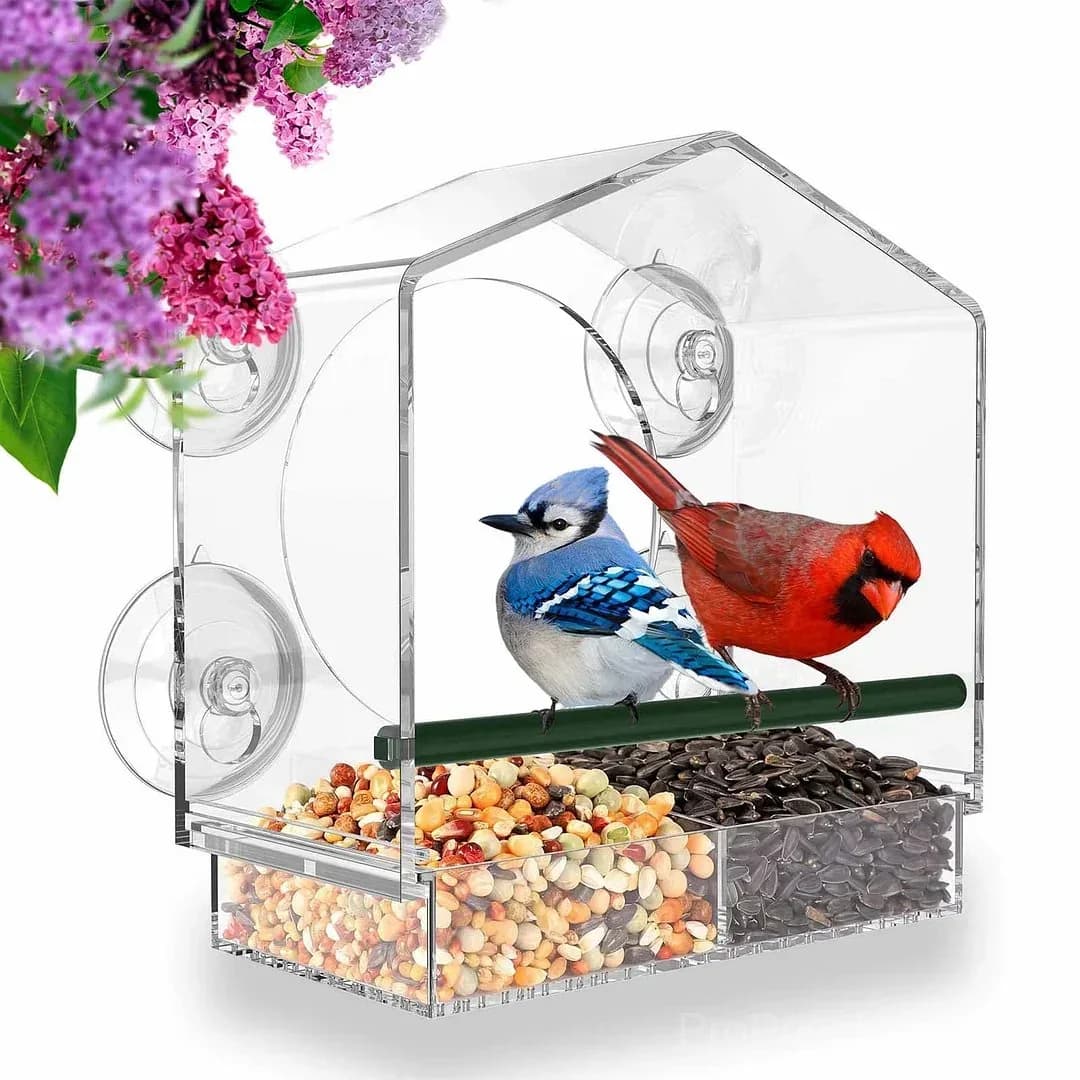Outdoor Window Bird Feeder - View 1