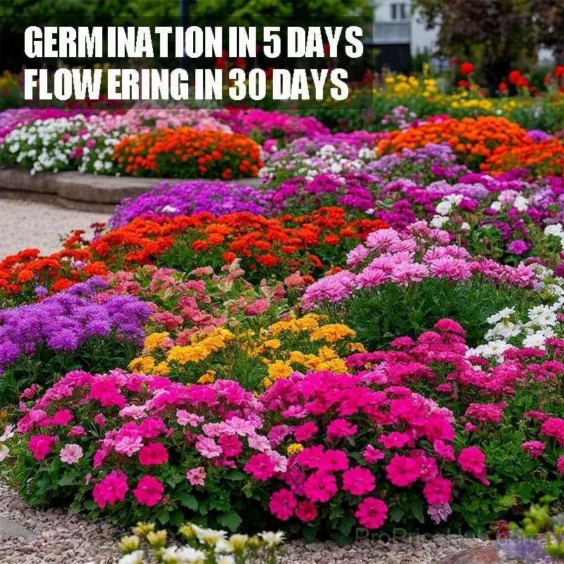 Four Seasons Wildflower Seeds, 60+ Mixed Perennial Varieties - View 1