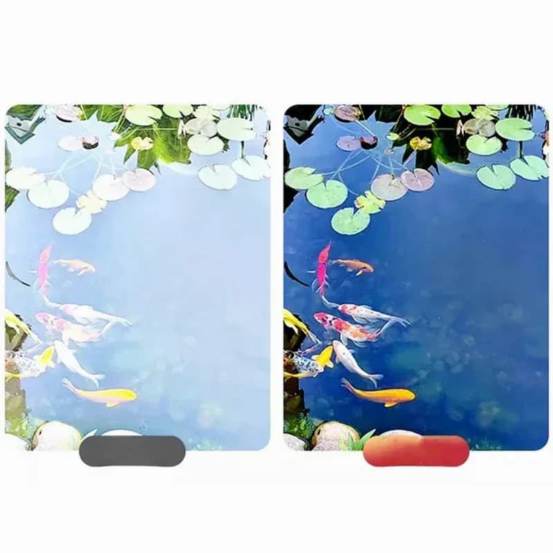 2-in-1 Magnetic CPL & Star Filter Lens for Cameras - View 7