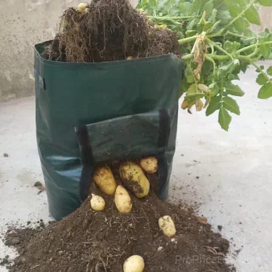 50L Large Capacity Potato Grow Planter Bag - PE Container for Vegetables, Garden Outdoor - View 2