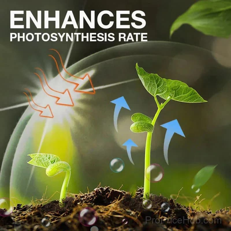 Plant Growth Enhancer Supplement - View 7