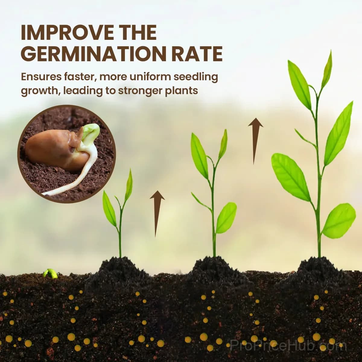 Soil Pro Activator – Garden Soil Amendment - View 2