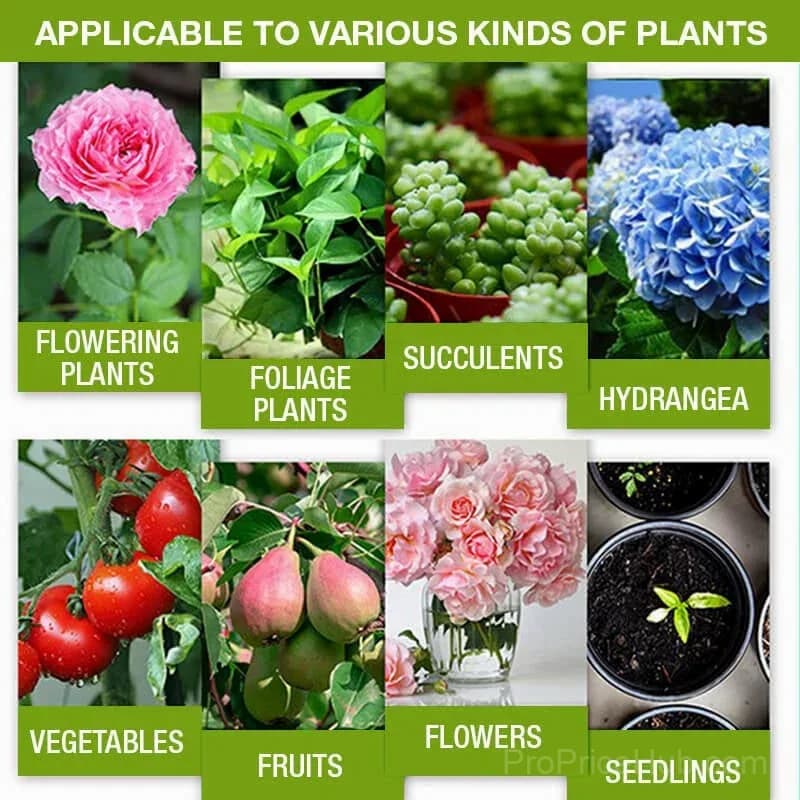Plant Growth Enhancer Supplement - View 6