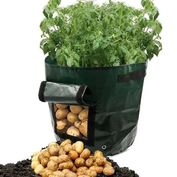 50L Large Capacity Potato Grow Planter Bag - PE Container for Vegetables, Garden Outdoor - View 1
