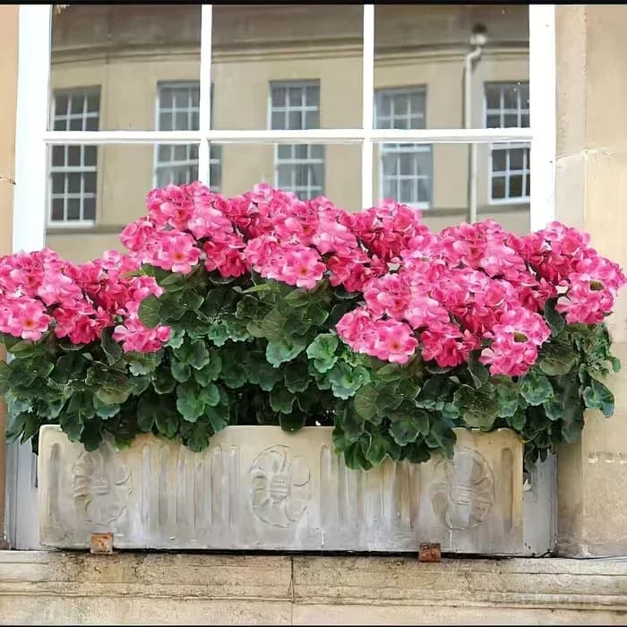 Bundled Artificial Geranium Flowers UV Resistant Outdoor Patio Decor - View 5