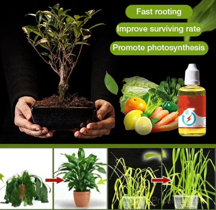 Plant Growth Enhancer Supplement - View 2