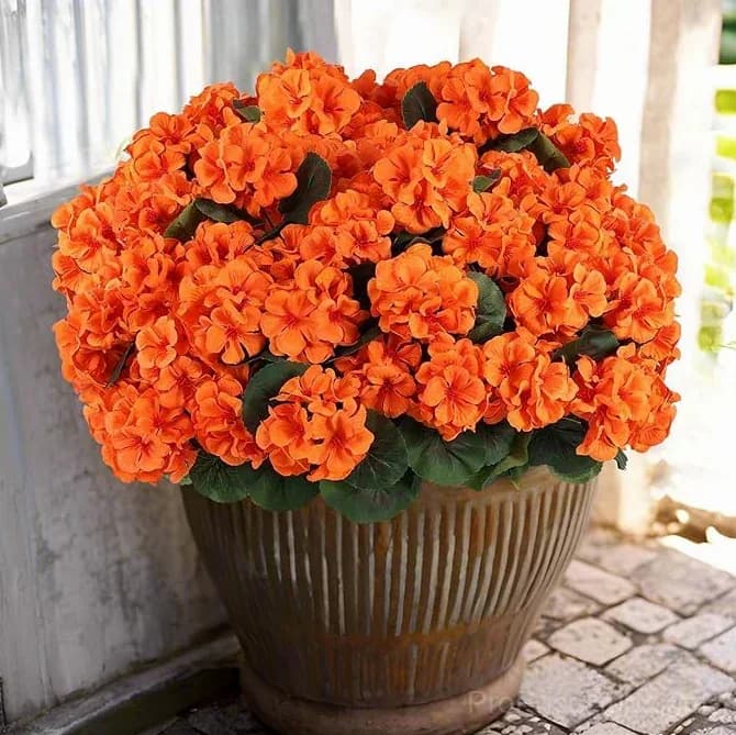 Bundled Artificial Geranium Flowers UV Resistant Outdoor Patio Decor - View 13