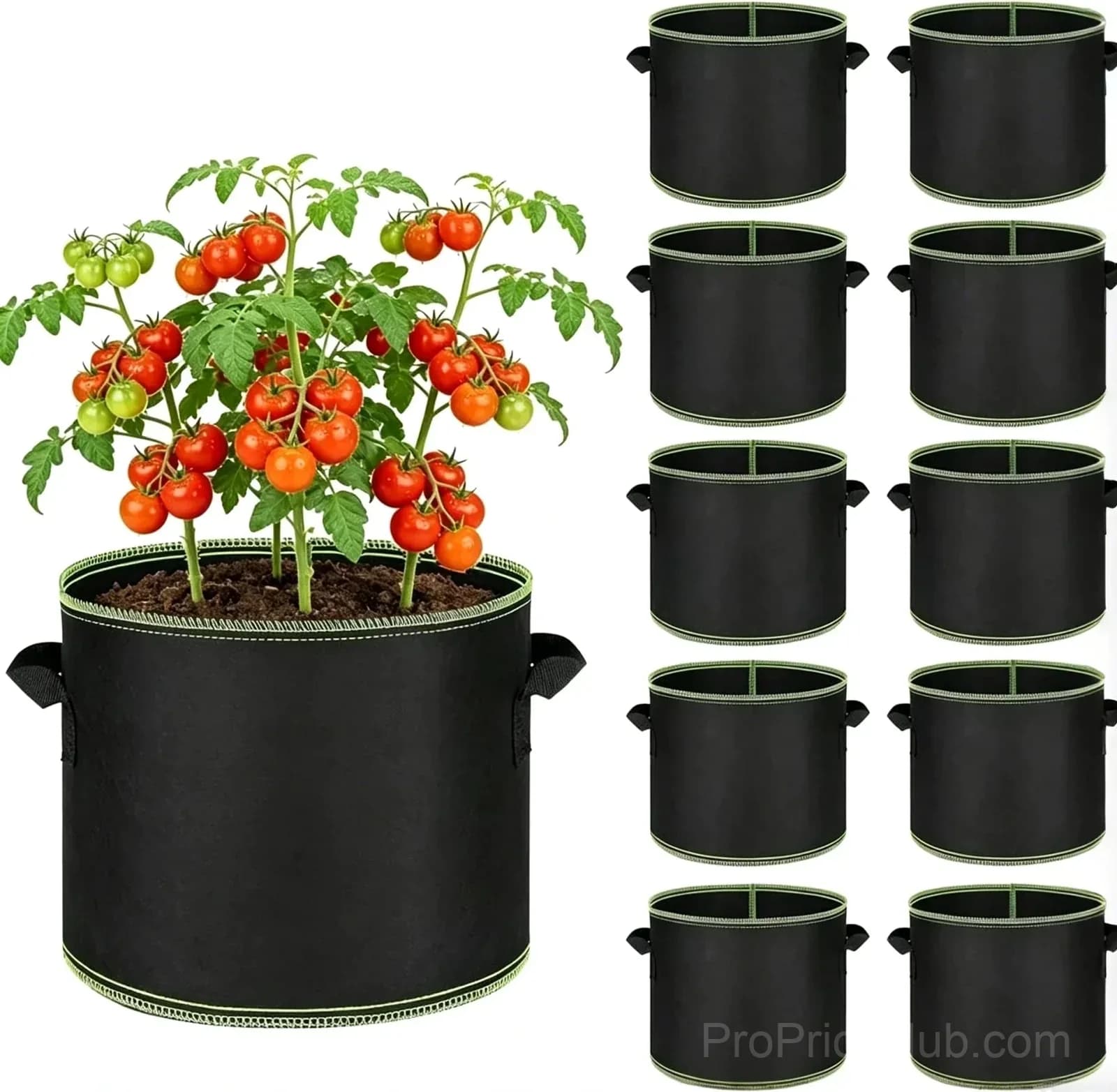 Heavy-Duty Breathable 5-Gallon Grow Bags, 12 x 10 in, 5-Pack - View 2