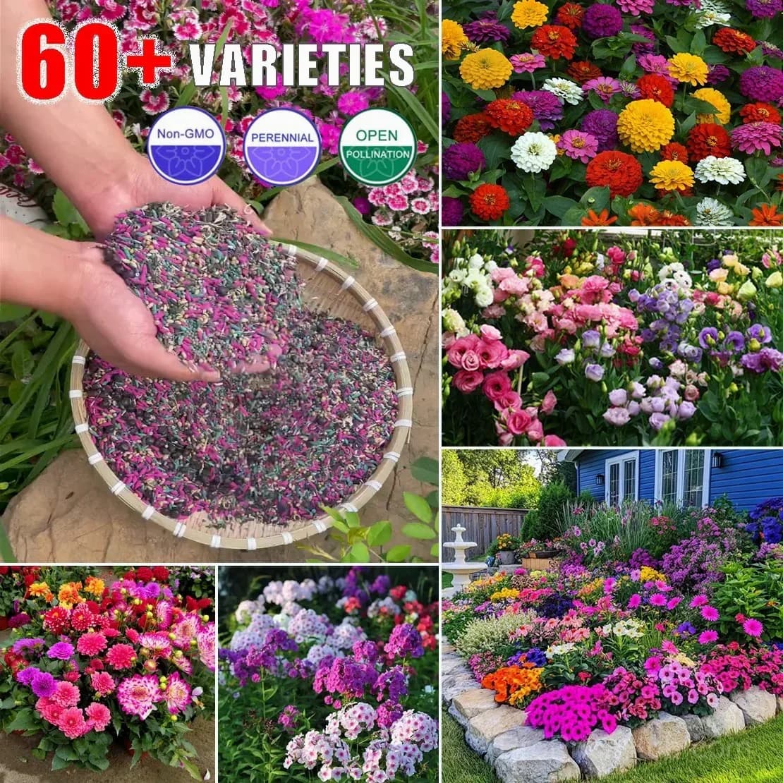 Four Seasons Wildflower Seeds, 60+ Mixed Perennial Varieties - View 2