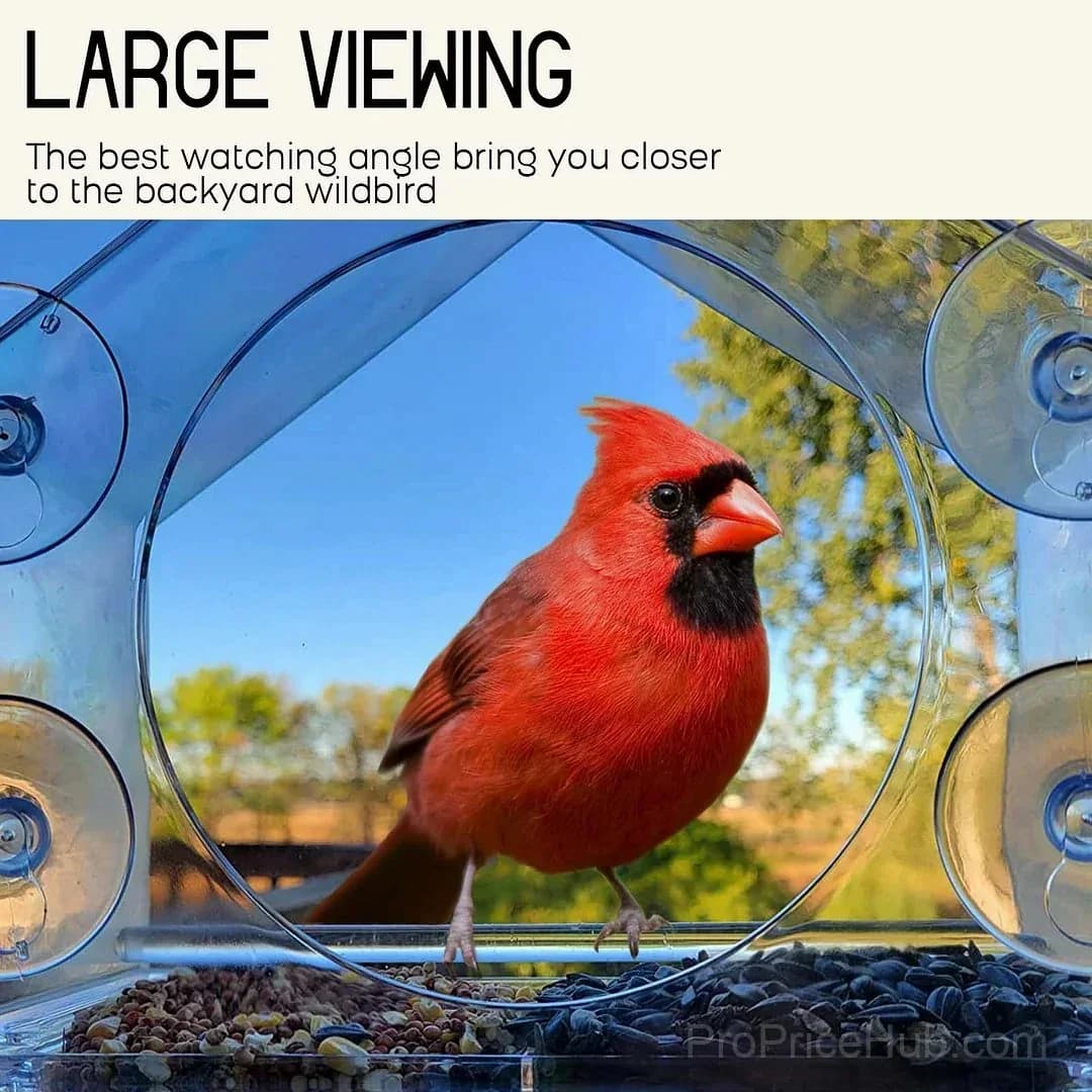 Outdoor Window Bird Feeder - View 2